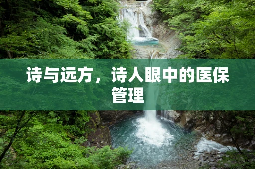 诗与远方，诗人眼中的医保管理