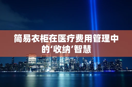 简易衣柜在医疗费用管理中的‘收纳’智慧