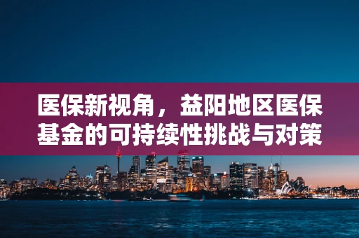 医保新视角，益阳地区医保基金的可持续性挑战与对策