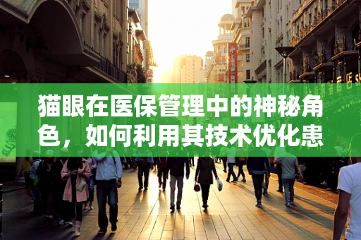 猫眼在医保管理中的神秘角色，如何利用其技术优化患者就医体验？