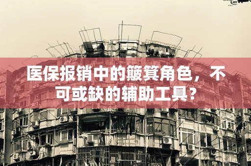 医保报销中的簸箕角色，不可或缺的辅助工具？