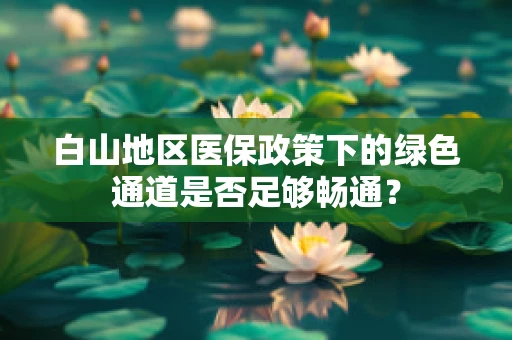 白山地区医保政策下的绿色通道是否足够畅通？
