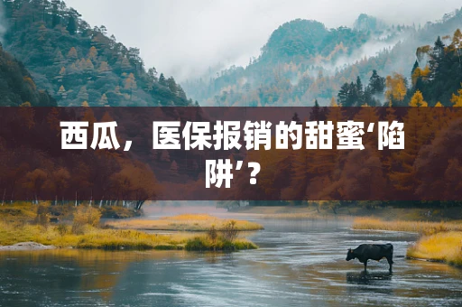西瓜，医保报销的甜蜜‘陷阱’？