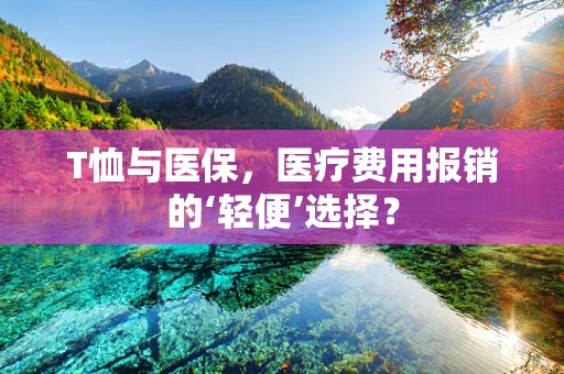 T恤与医保，医疗费用报销的‘轻便’选择？