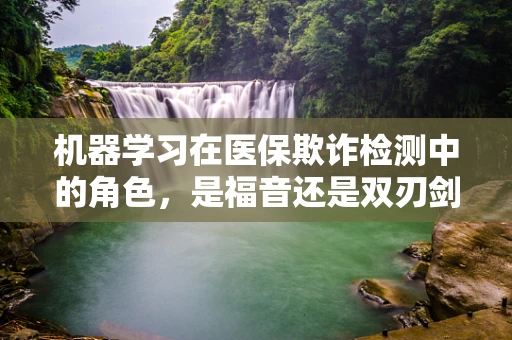 机器学习在医保欺诈检测中的角色，是福音还是双刃剑？