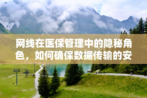 网线在医保管理中的隐秘角色，如何确保数据传输的安全与效率？