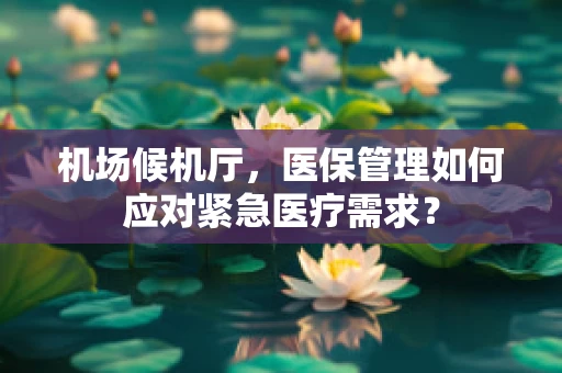 机场候机厅，医保管理如何应对紧急医疗需求？