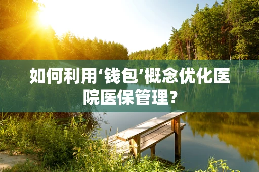 如何利用‘钱包’概念优化医院医保管理？