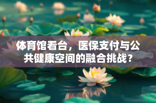 体育馆看台，医保支付与公共健康空间的融合挑战？