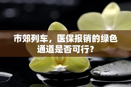 市郊列车，医保报销的绿色通道是否可行？