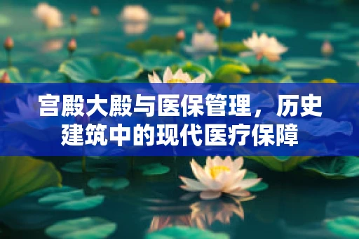 宫殿大殿与医保管理，历史建筑中的现代医疗保障