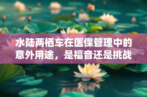 水陆两栖车在医保管理中的意外用途，是福音还是挑战？