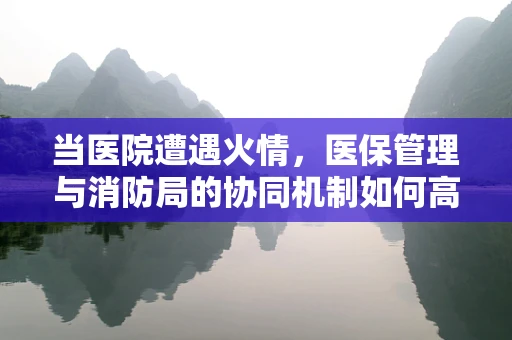 当医院遭遇火情，医保管理与消防局的协同机制如何高效运作？
