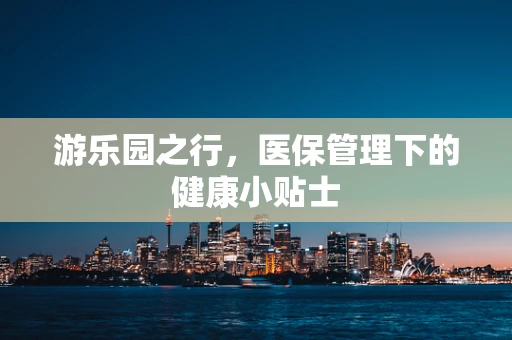 游乐园之行，医保管理下的健康小贴士