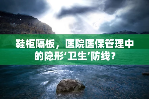 鞋柜隔板，医院医保管理中的隐形‘卫生’防线？