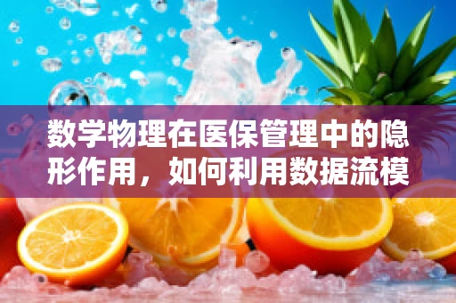 数学物理在医保管理中的隐形作用，如何利用数据流模拟优化资源配置？
