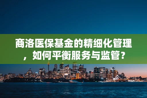 商洛医保基金的精细化管理，如何平衡服务与监管？