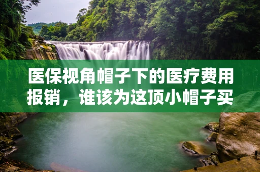 医保视角帽子下的医疗费用报销，谁该为这顶小帽子买单？