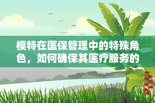 模特在医保管理中的特殊角色，如何确保其医疗服务的公平与透明？