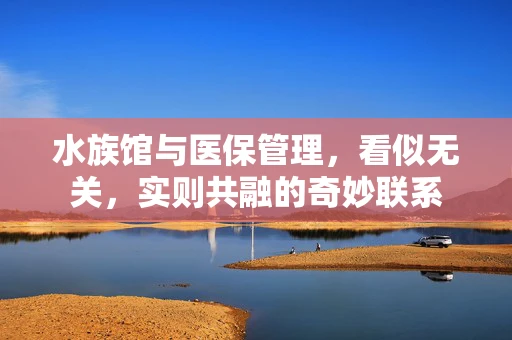 水族馆与医保管理，看似无关，实则共融的奇妙联系