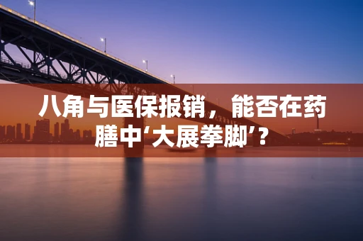 八角与医保报销，能否在药膳中‘大展拳脚’？