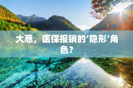 大葱，医保报销的‘隐形’角色？