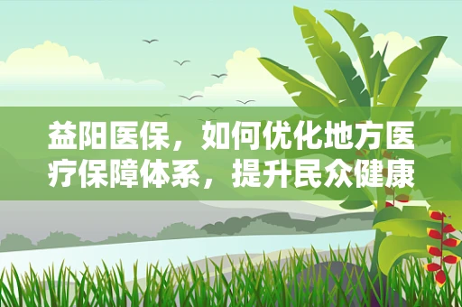 益阳医保，如何优化地方医疗保障体系，提升民众健康福祉？