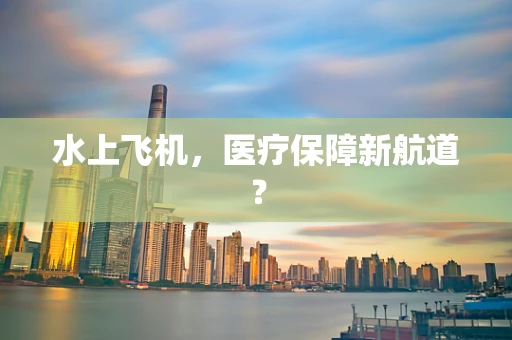 水上飞机，医疗保障新航道？