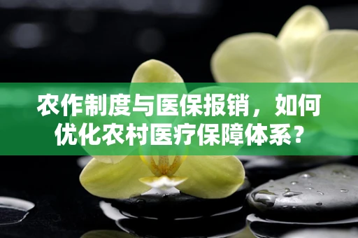 农作制度与医保报销，如何优化农村医疗保障体系？