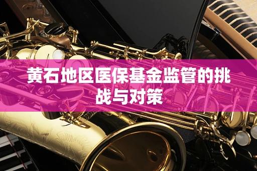 黄石地区医保基金监管的挑战与对策