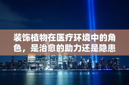 装饰植物在医疗环境中的角色，是治愈的助力还是隐患的源头？