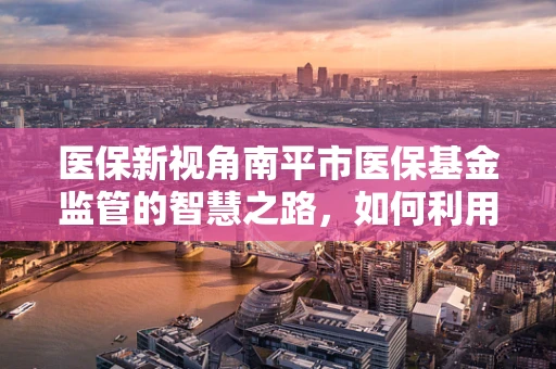 医保新视角南平市医保基金监管的智慧之路，如何利用大数据技术提升监管效率？