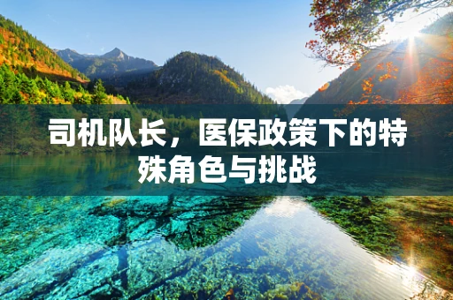 司机队长，医保政策下的特殊角色与挑战