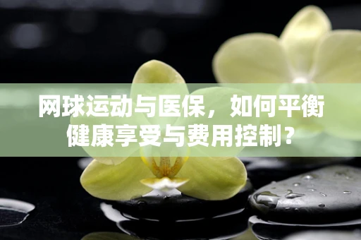 网球运动与医保，如何平衡健康享受与费用控制？