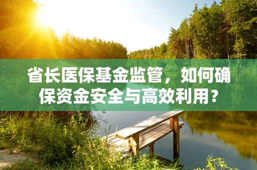 省长医保基金监管，如何确保资金安全与高效利用？