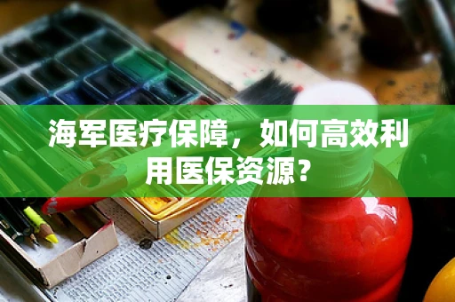 海军医疗保障，如何高效利用医保资源？