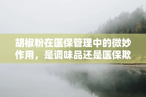 胡椒粉在医保管理中的微妙作用，是调味品还是医保欺诈的催化剂？