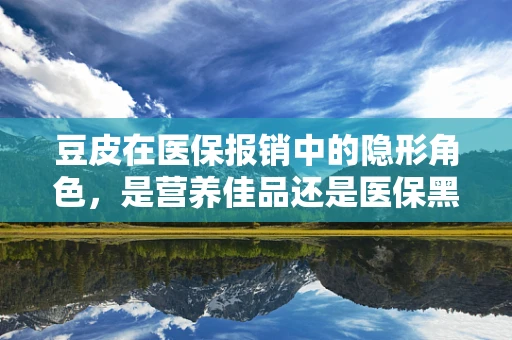 豆皮在医保报销中的隐形角色，是营养佳品还是医保黑洞？