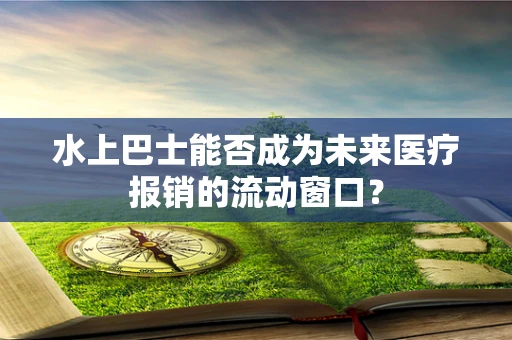 水上巴士能否成为未来医疗报销的流动窗口？