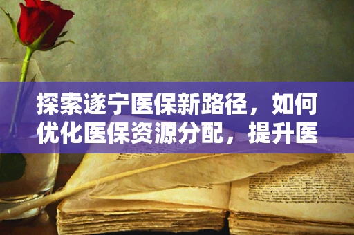 探索遂宁医保新路径，如何优化医保资源分配，提升医疗服务效率？