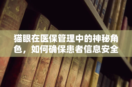 猫眼在医保管理中的神秘角色，如何确保患者信息安全无虞？