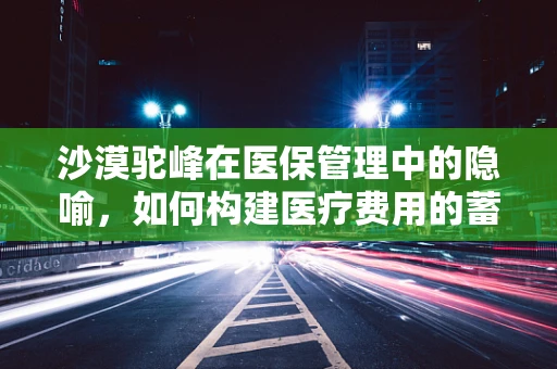 沙漠驼峰在医保管理中的隐喻，如何构建医疗费用的蓄水池？