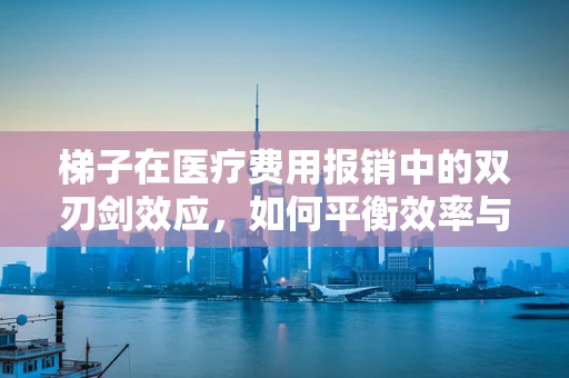 梯子在医疗费用报销中的双刃剑效应，如何平衡效率与安全？