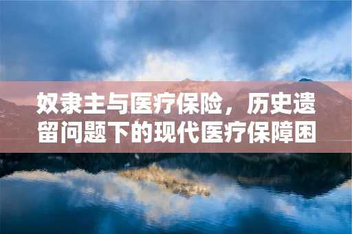 奴隶主与医疗保险，历史遗留问题下的现代医疗保障困境