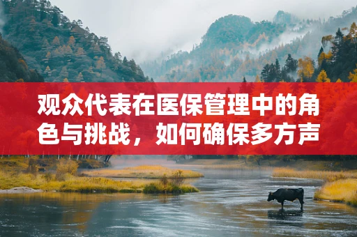 观众代表在医保管理中的角色与挑战，如何确保多方声音被听见？
