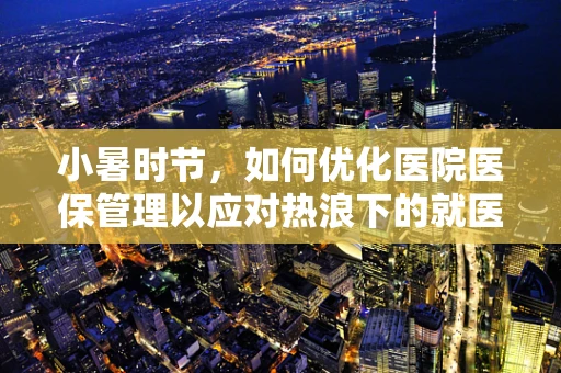 小暑时节，如何优化医院医保管理以应对热浪下的就医高峰？