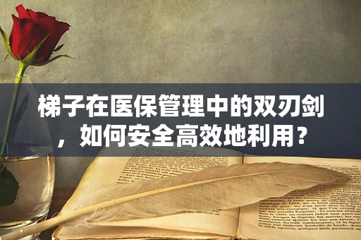 梯子在医保管理中的双刃剑，如何安全高效地利用？