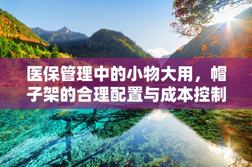 医保管理中的小物大用，帽子架的合理配置与成本控制