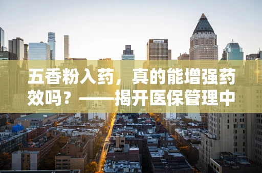 五香粉入药，真的能增强药效吗？——揭开医保管理中的中药辅料小秘密