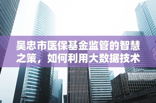 吴忠市医保基金监管的智慧之策，如何利用大数据技术提升监管效率？
